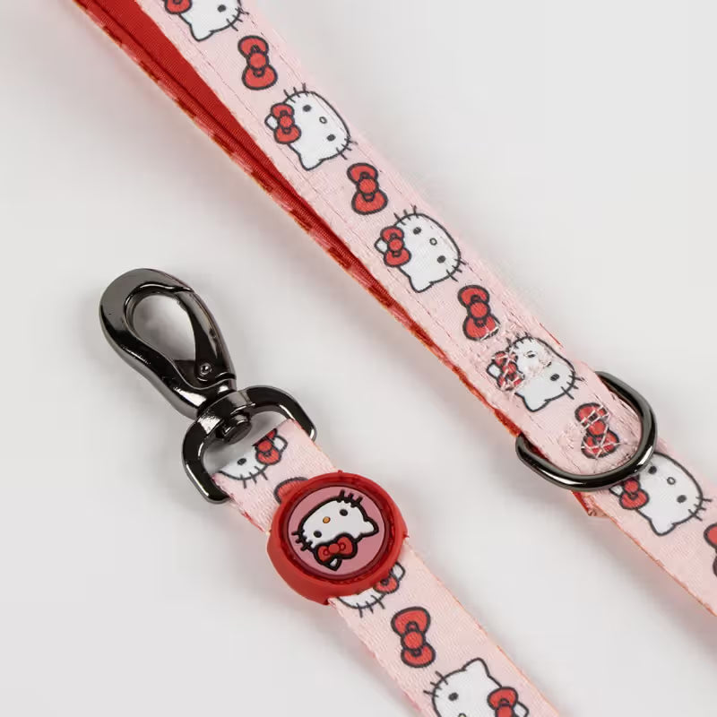 Disney & Warner Bros Hello Kitty