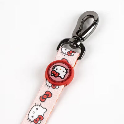 Disney & Warner Bros Hello Kitty