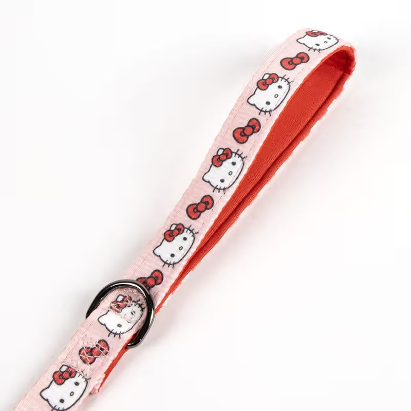 Disney & Warner Bros Hello Kitty