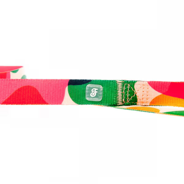 Ferribiella Motif Camouflage - Dog lead