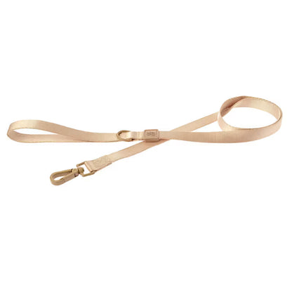 Ferribiella Suprema - Trela para cão