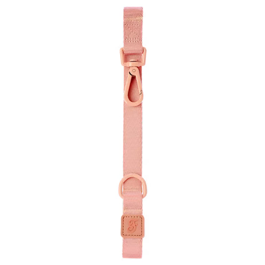 Ferribiella Suprema - Trela para cão