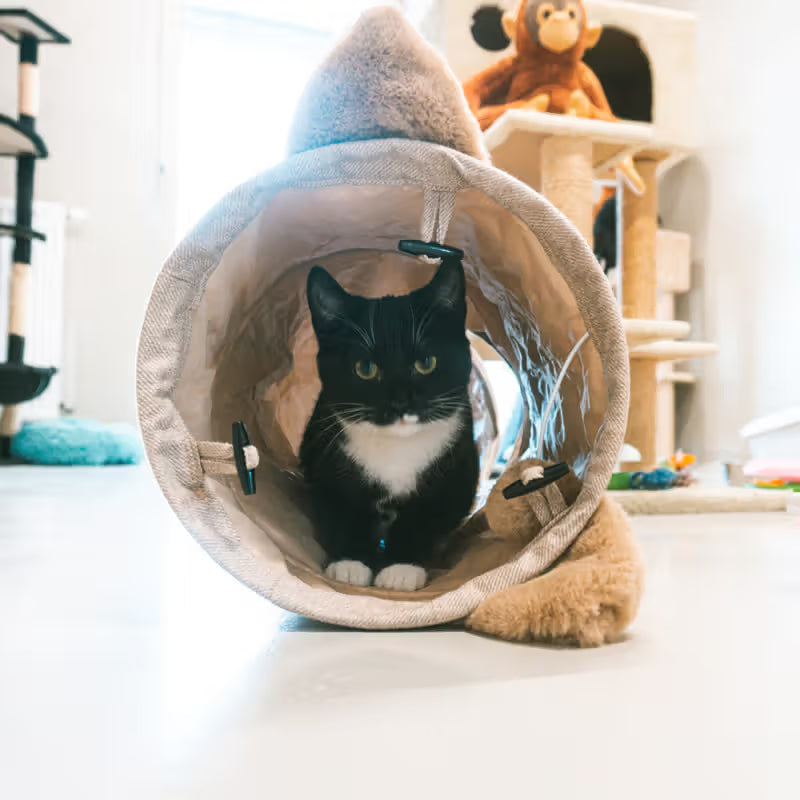 Duvo Plus Túnel Cozette - Cat tunnel