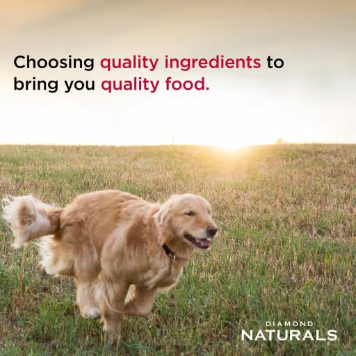 Diamond Naturals Small Breed Adult Dog Lamb and Rice 15kg