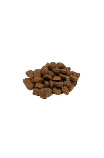 https://cdn.shopify.com/s/files/1/0916/7627/9129/files/vermelho.avif?v=1773758935