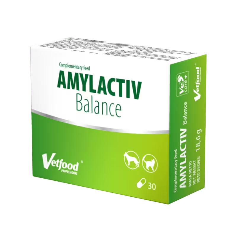 Vetfood Amylactiv Balance Pets - Pet snack for digestive support