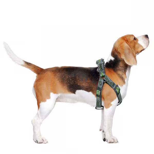 Disney & Warner Bros Star Wars Arnês Mandalorian - Arnés para perro