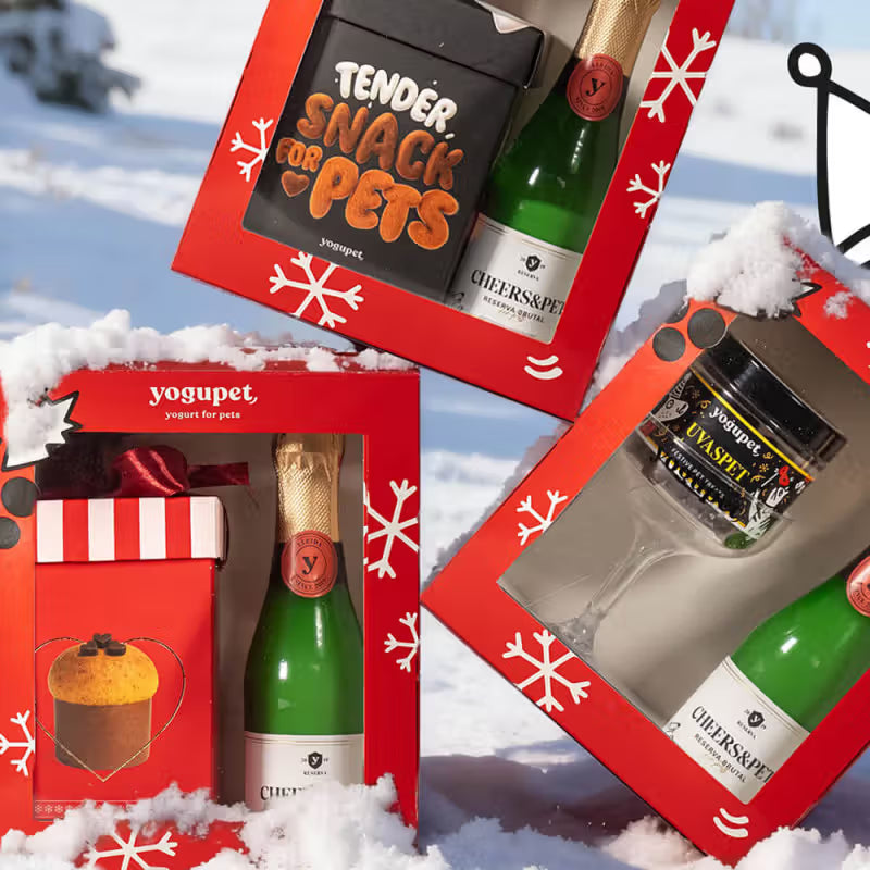 Yogupet - Christmas box for dogs
