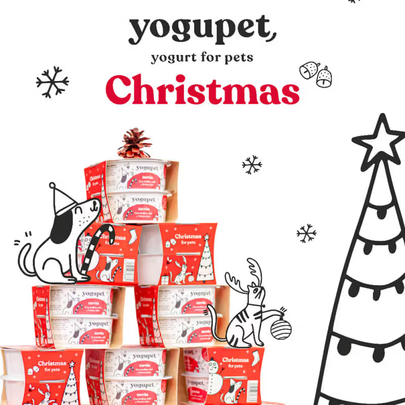 Yogupet - Christmas box for dogs