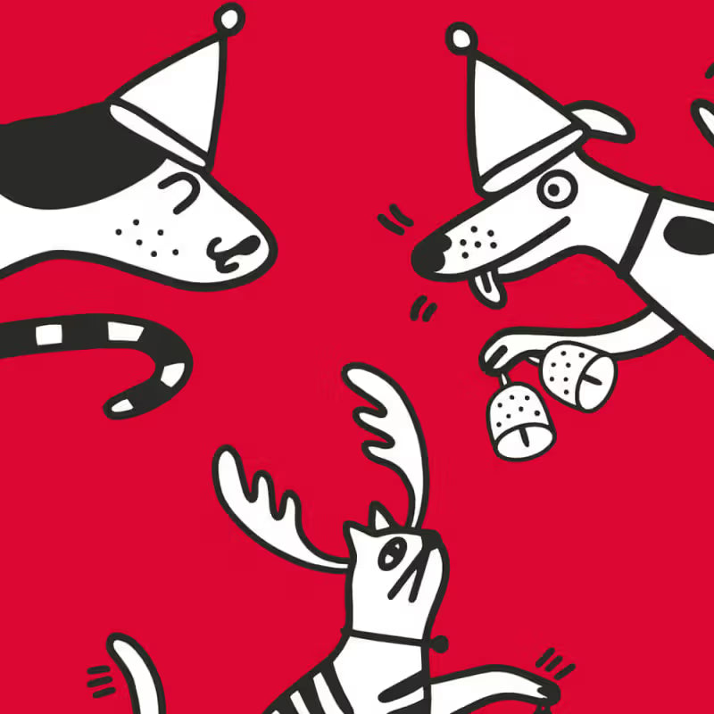 Yogupet - Christmas box for dogs
