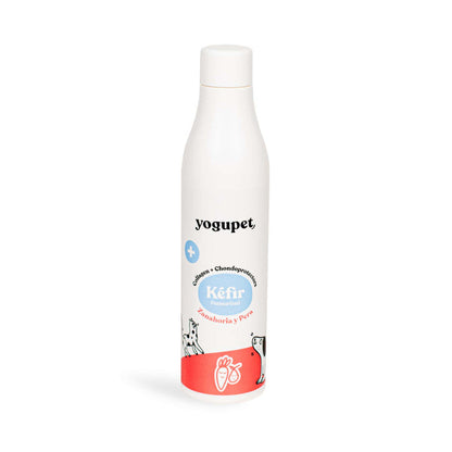https://cdn.shopify.com/s/files/1/0916/7627/9129/files/yogupet-kefir-de-cenoura-e-pera-para-cao-e-gato.jpg?v=1774956075