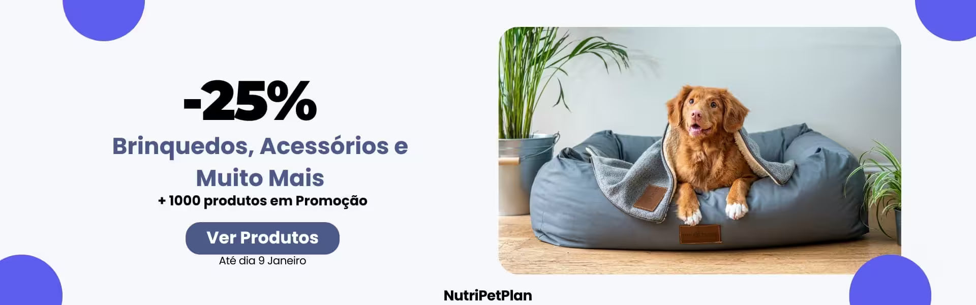 Christmas New Years Sale